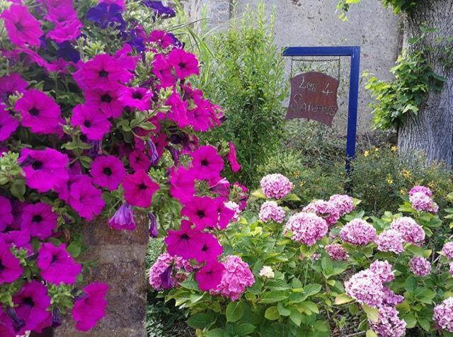 Les Quatre Saisons Bed & Breakfast Moitron-sur-Sarthe Ngoại thất bức ảnh